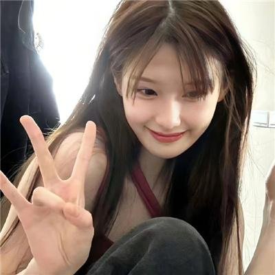 翼龙